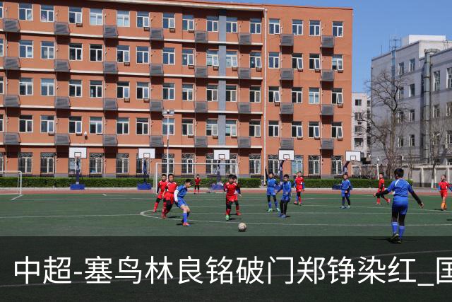 中超-塞鸟林良铭破门郑铮染红 国安2-0泰山取三连胜