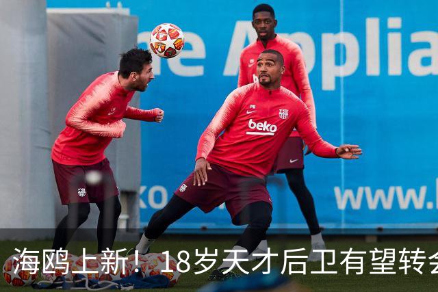 海鸥上新！18岁天才后卫有望转会英格兰，天赋顶级布莱顿要买